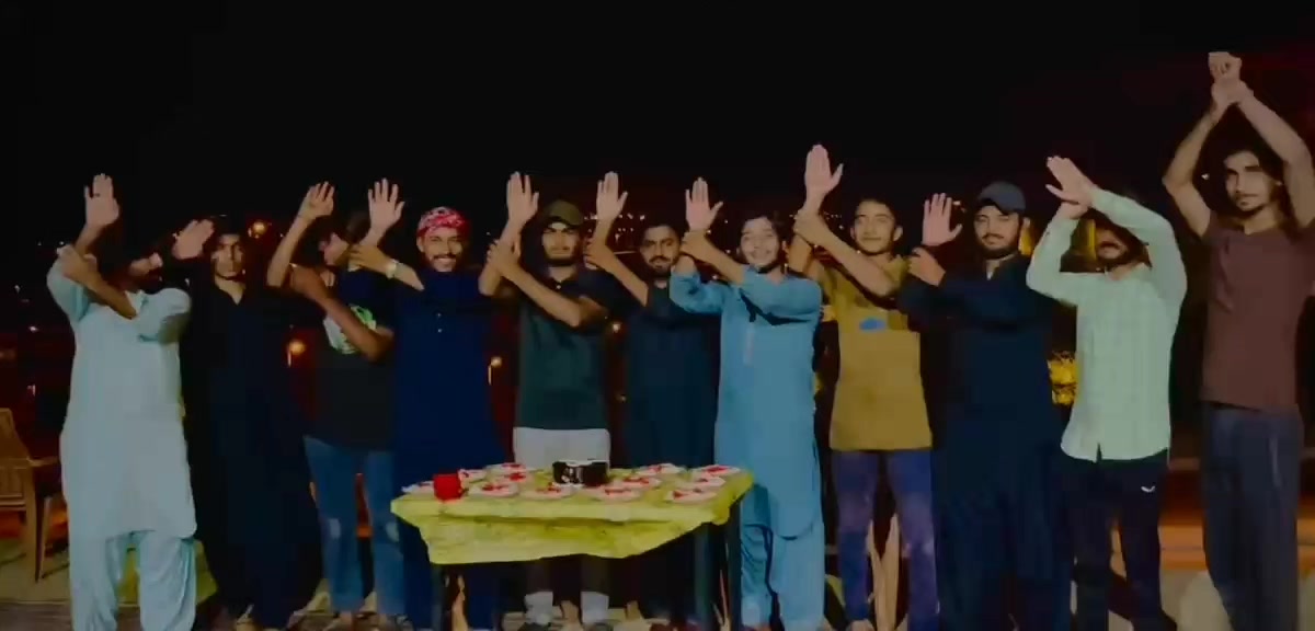 @zamin ali
