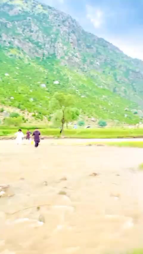 @SHAHZADA🦁🤚
