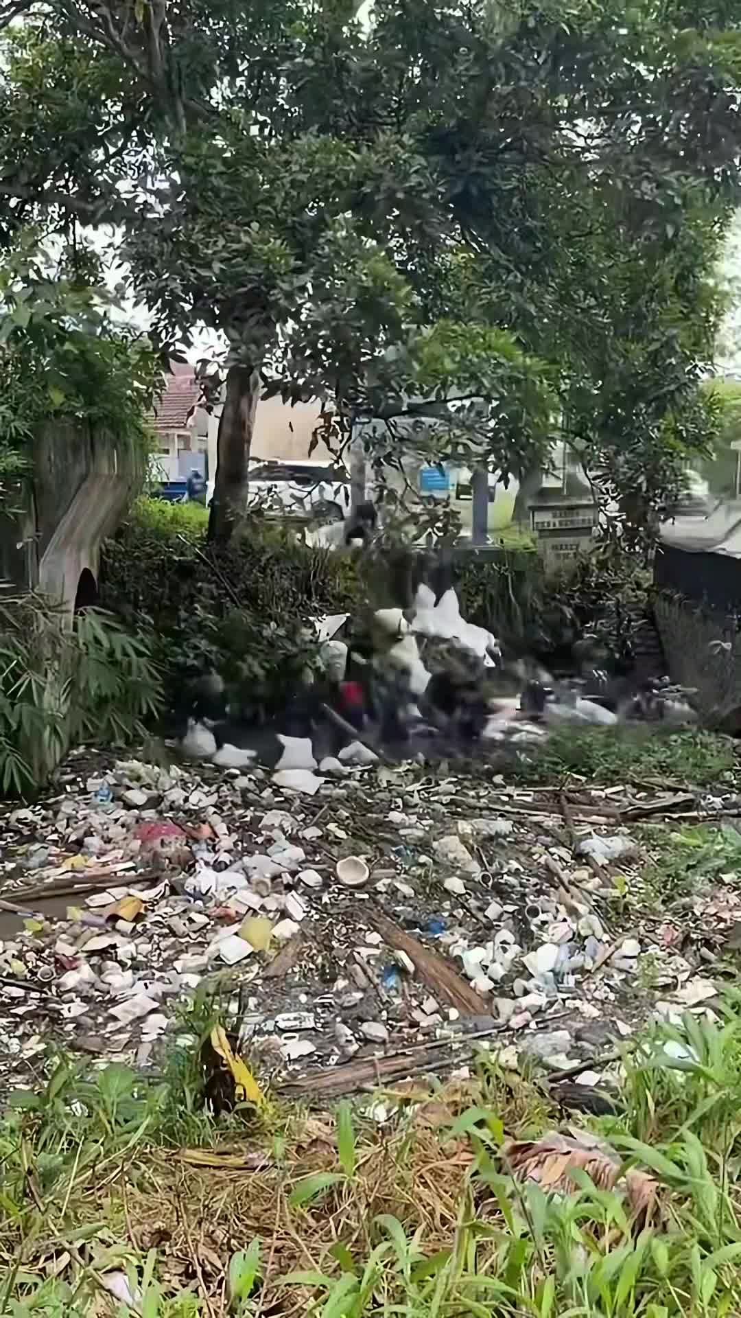 @ghhanc