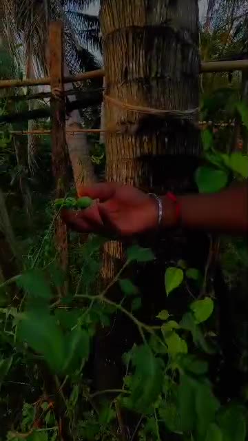 @Pavi_7577