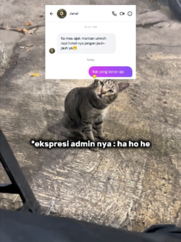 @Perjalanan Hikmah