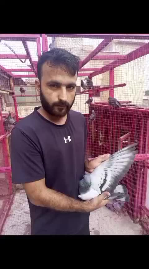 @🕊Badsha🕊