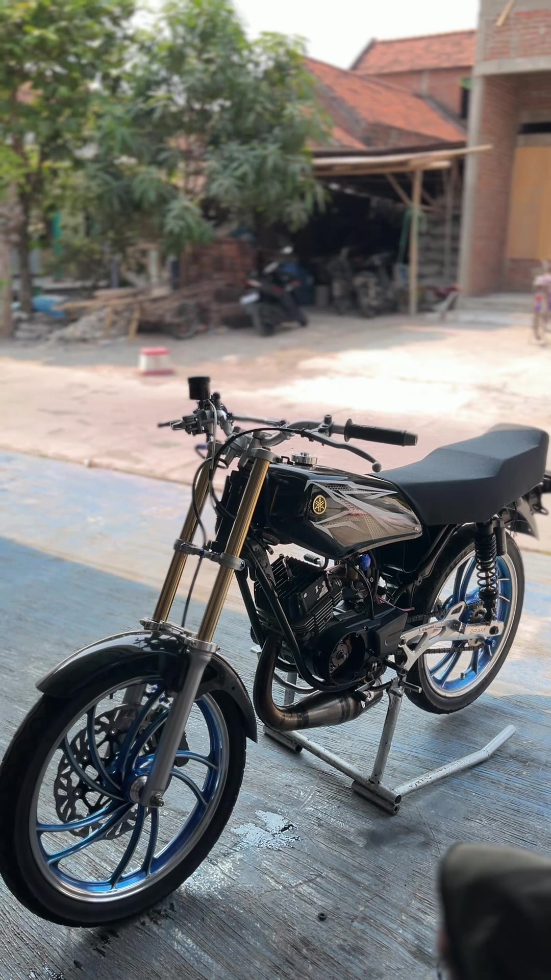 @Azril_Hobby king