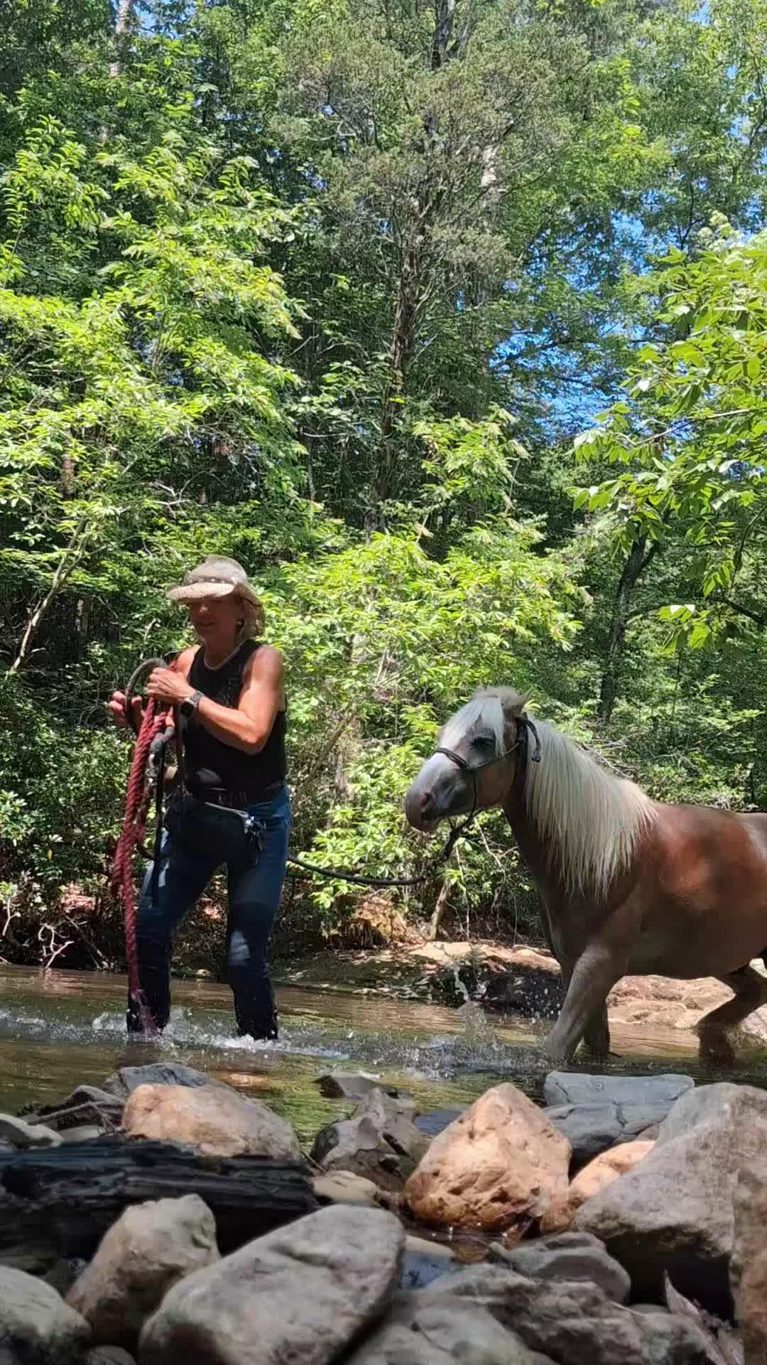 @dorissaddle_soul