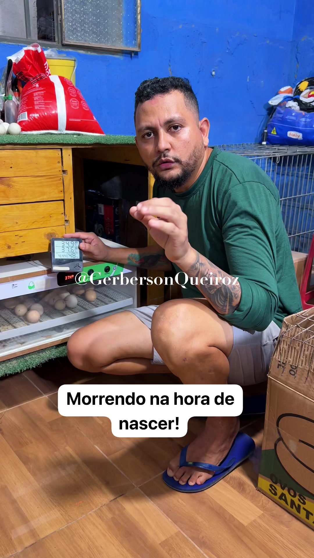 @gerberson.queiroz