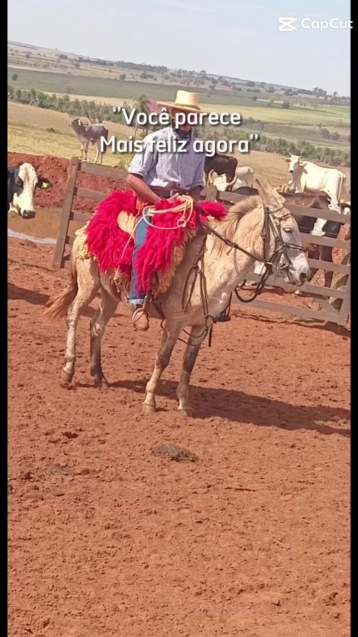 @BENEVIDES🤠🍃