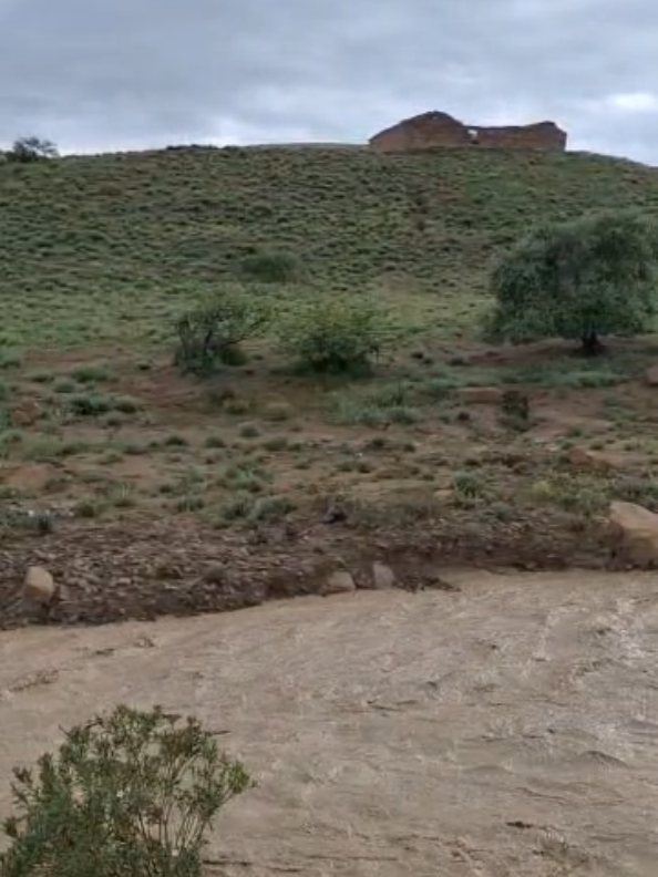 @محمد أمين 🇩🇿