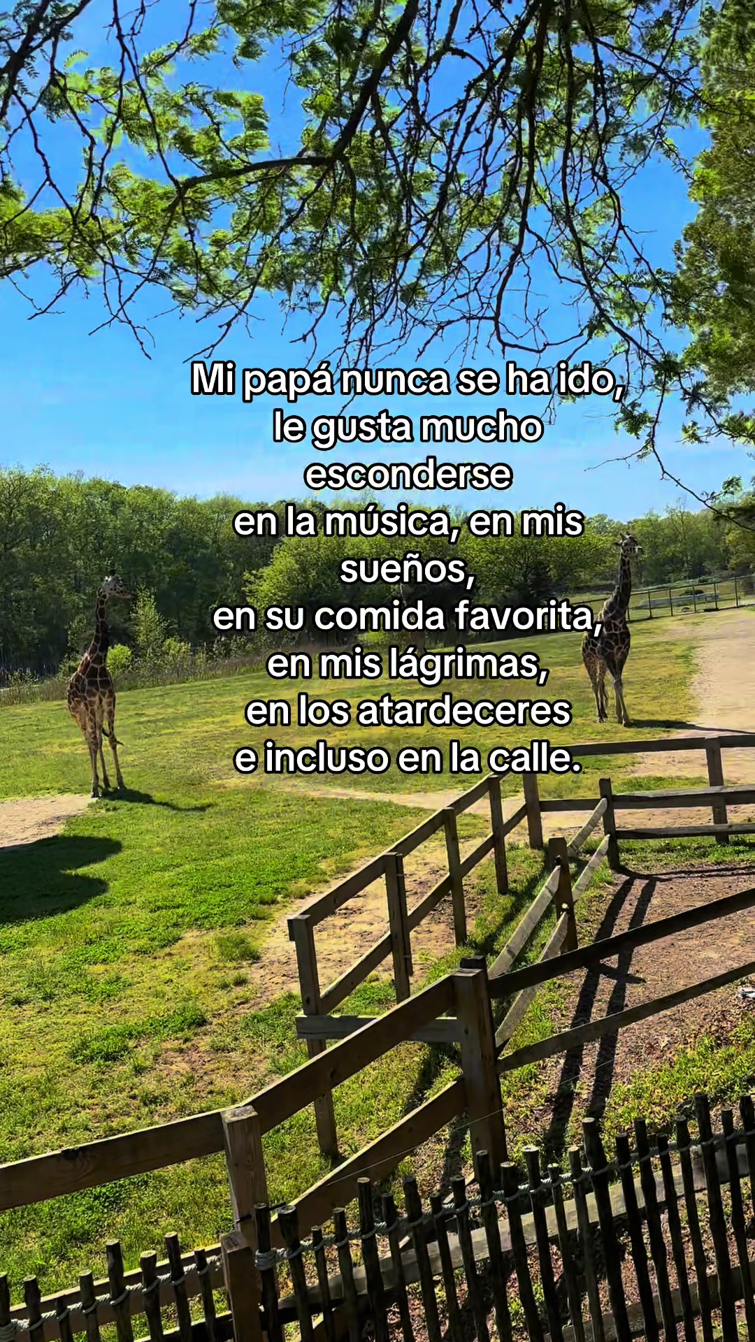 @Anette Rosas