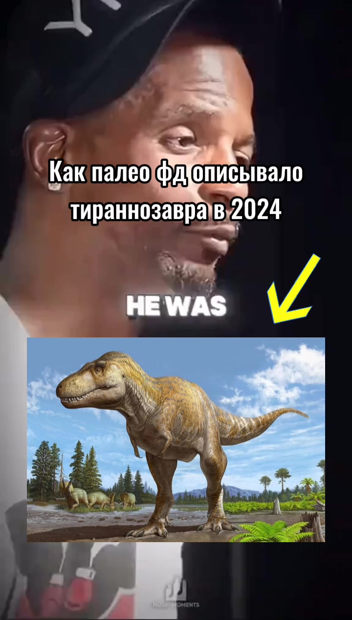 @Acrolog🦎🌱