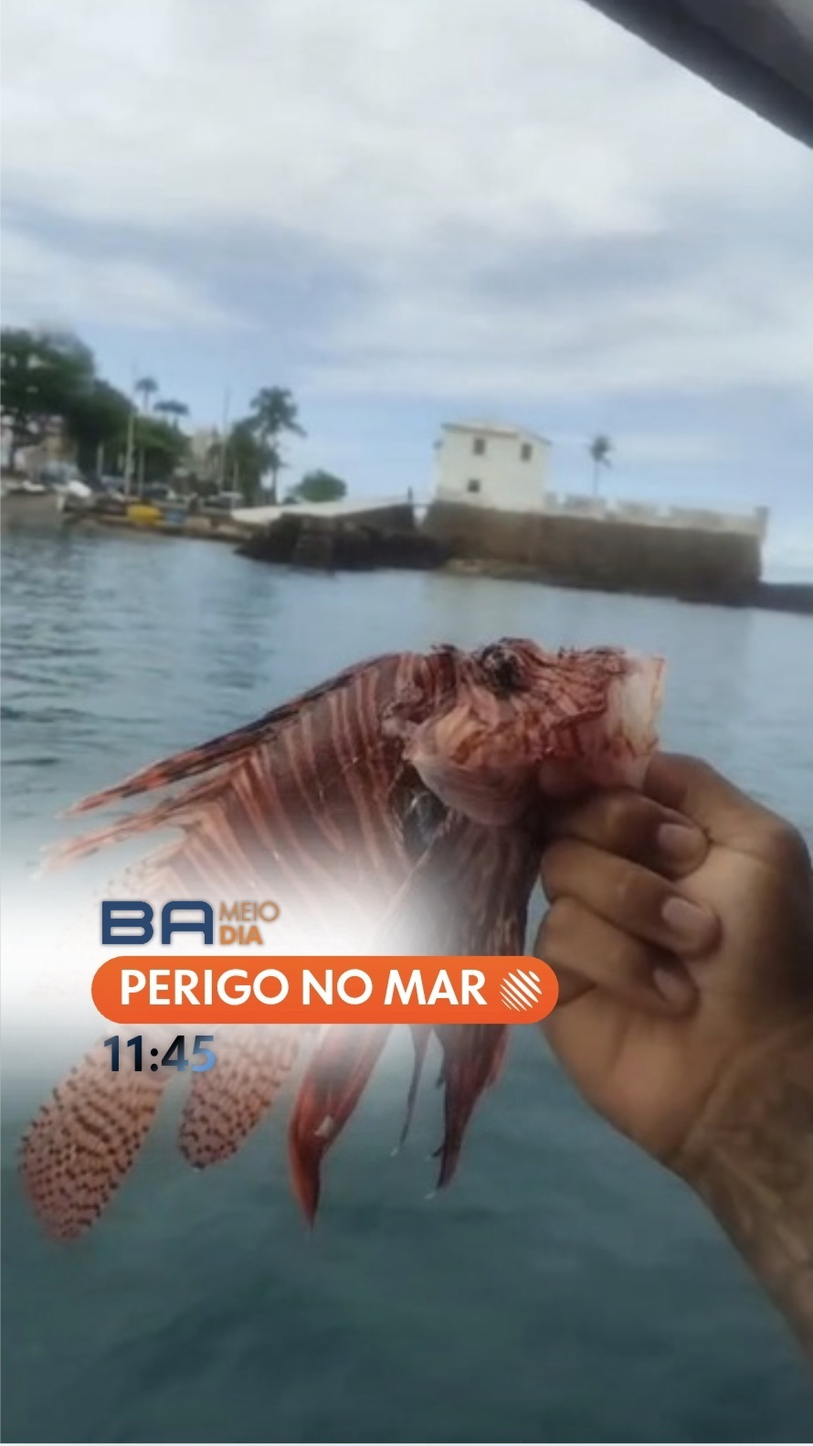 @TV BAHIA