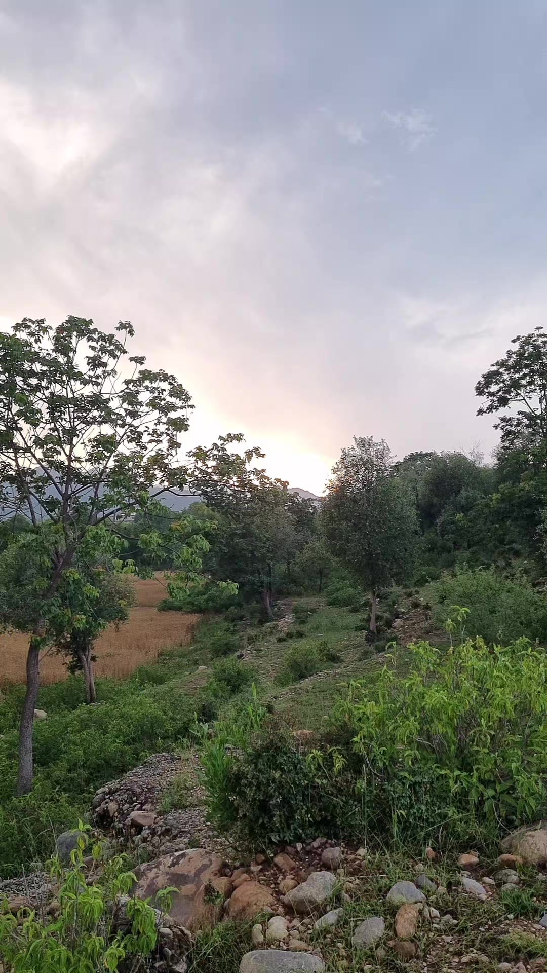 @𝕱𝖆𝖍𝖎𝖒🧿 عباس ★࿐
