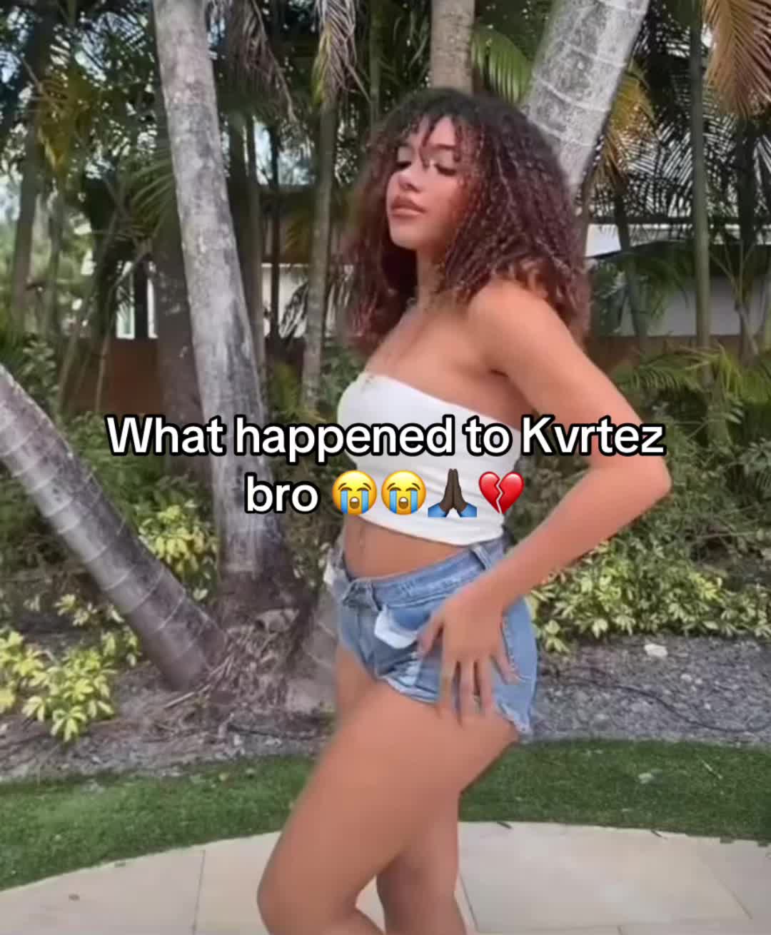 @chibotai
