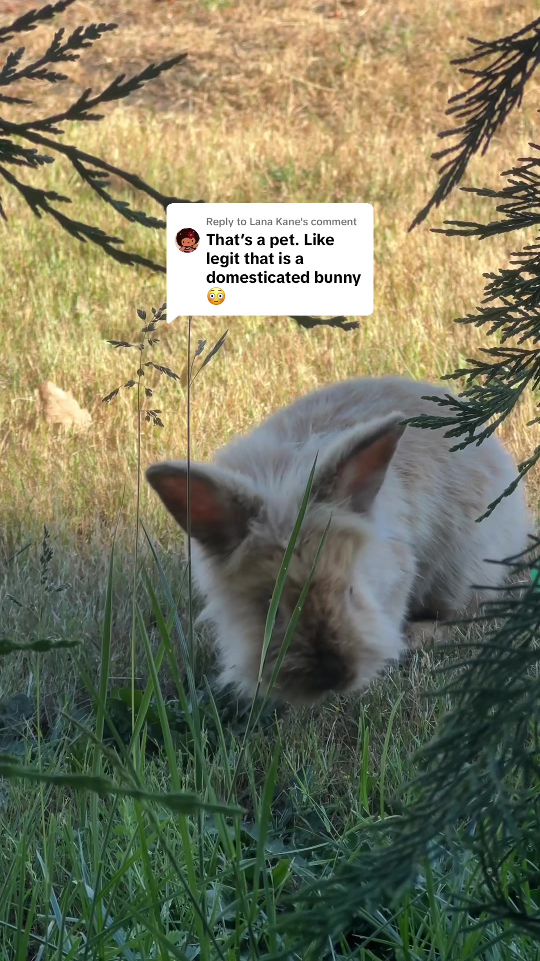 @Liveforlines