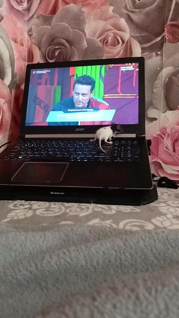 @Артём Жерносенко