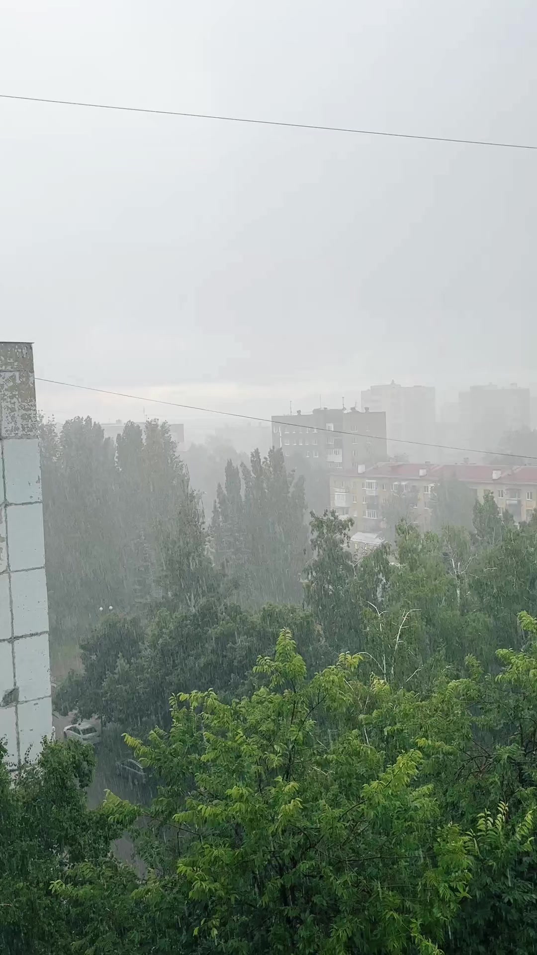 @Егорка