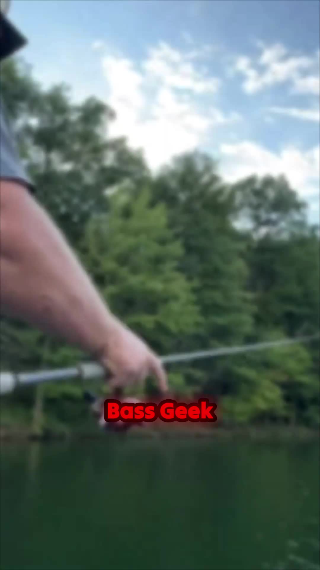 @bassgeek