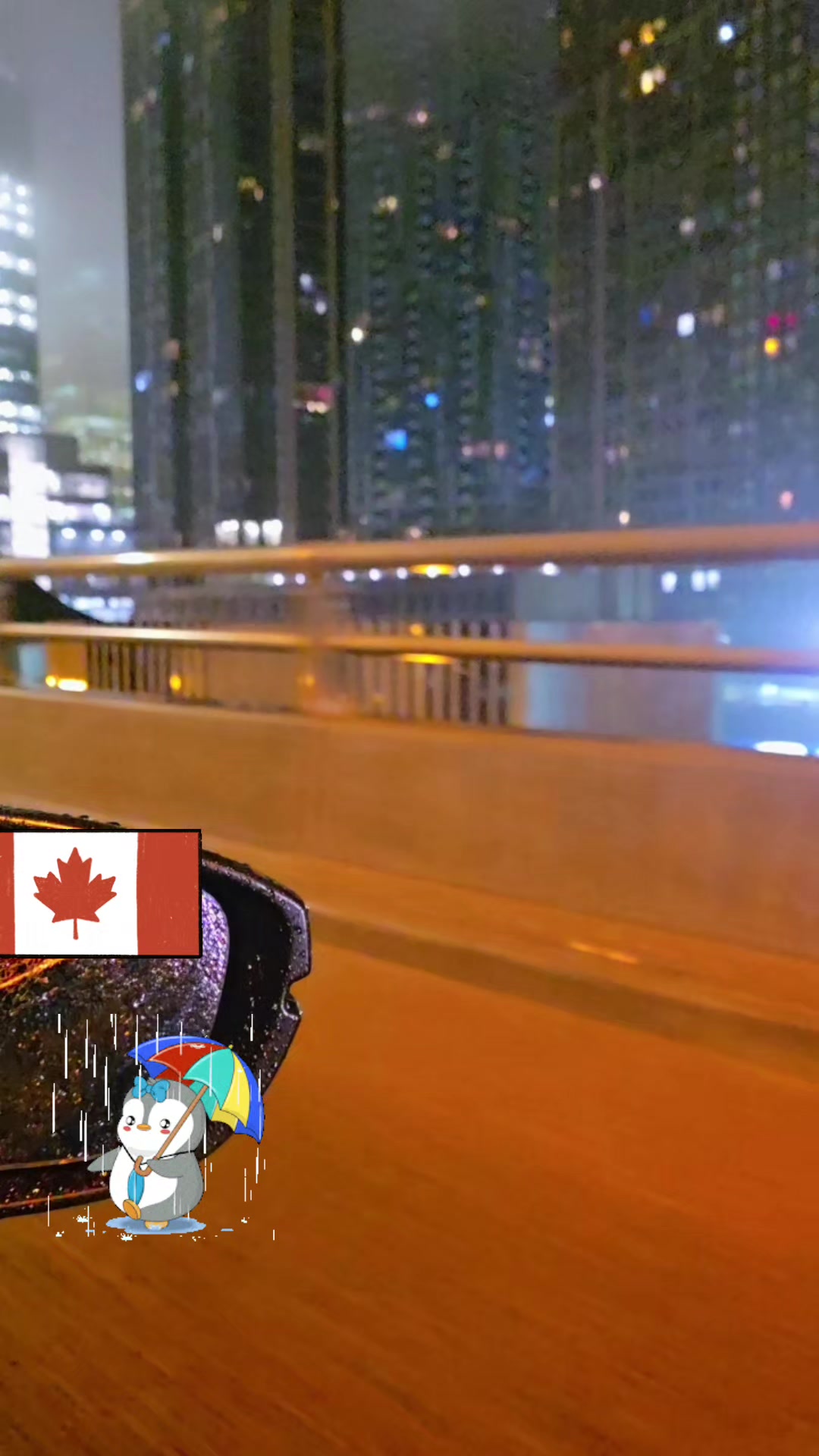 @Vijay🐅🇨🇦
