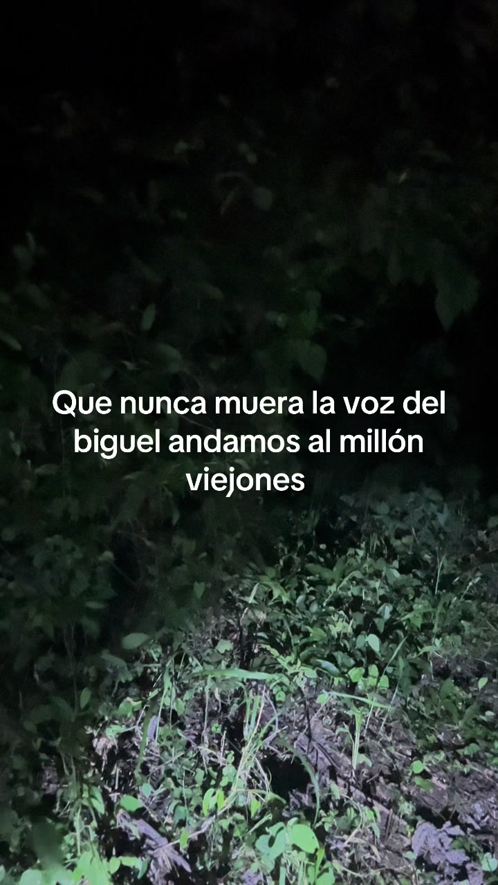 @el caza solo 🐾