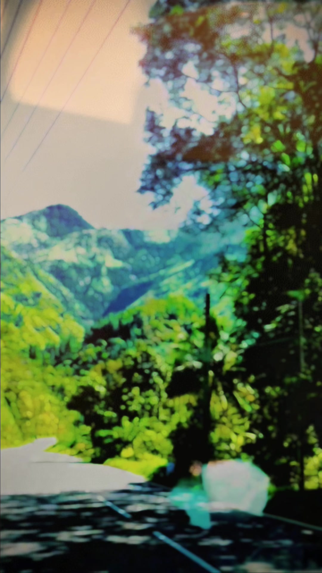 @𝗛 𝗔 𝗡 𝗦 𝗔 [한사카] 👽🍁❤️