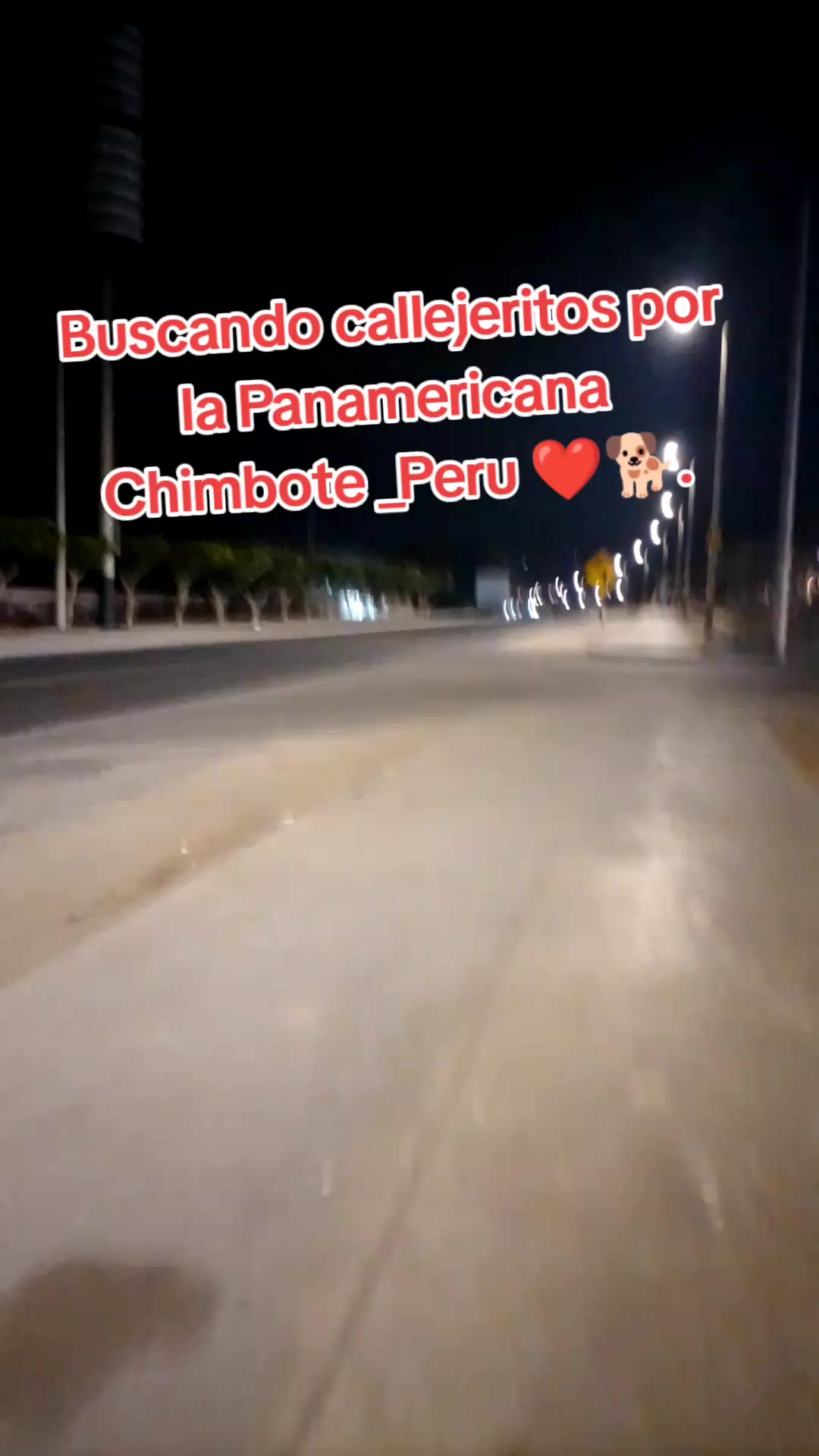 @🌷 Sarita y los callejeritos