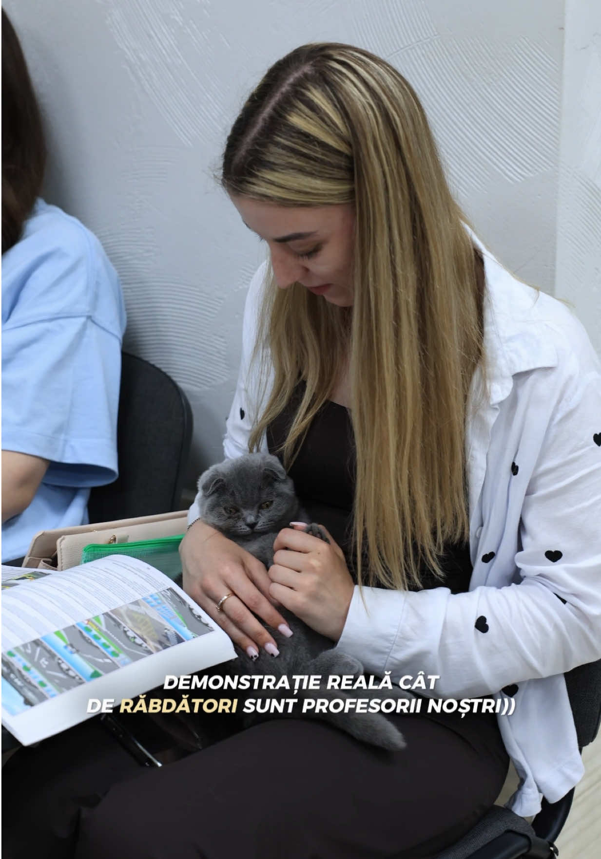 @Instruire Auto