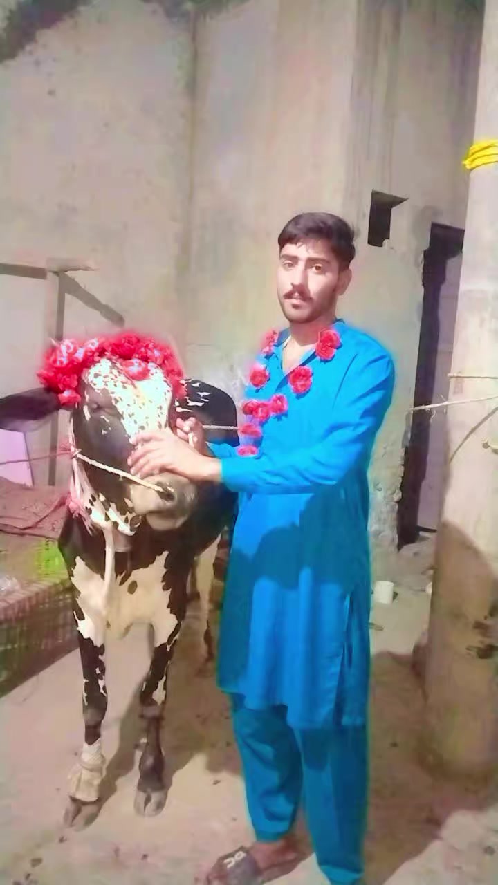 @salmanblouch525