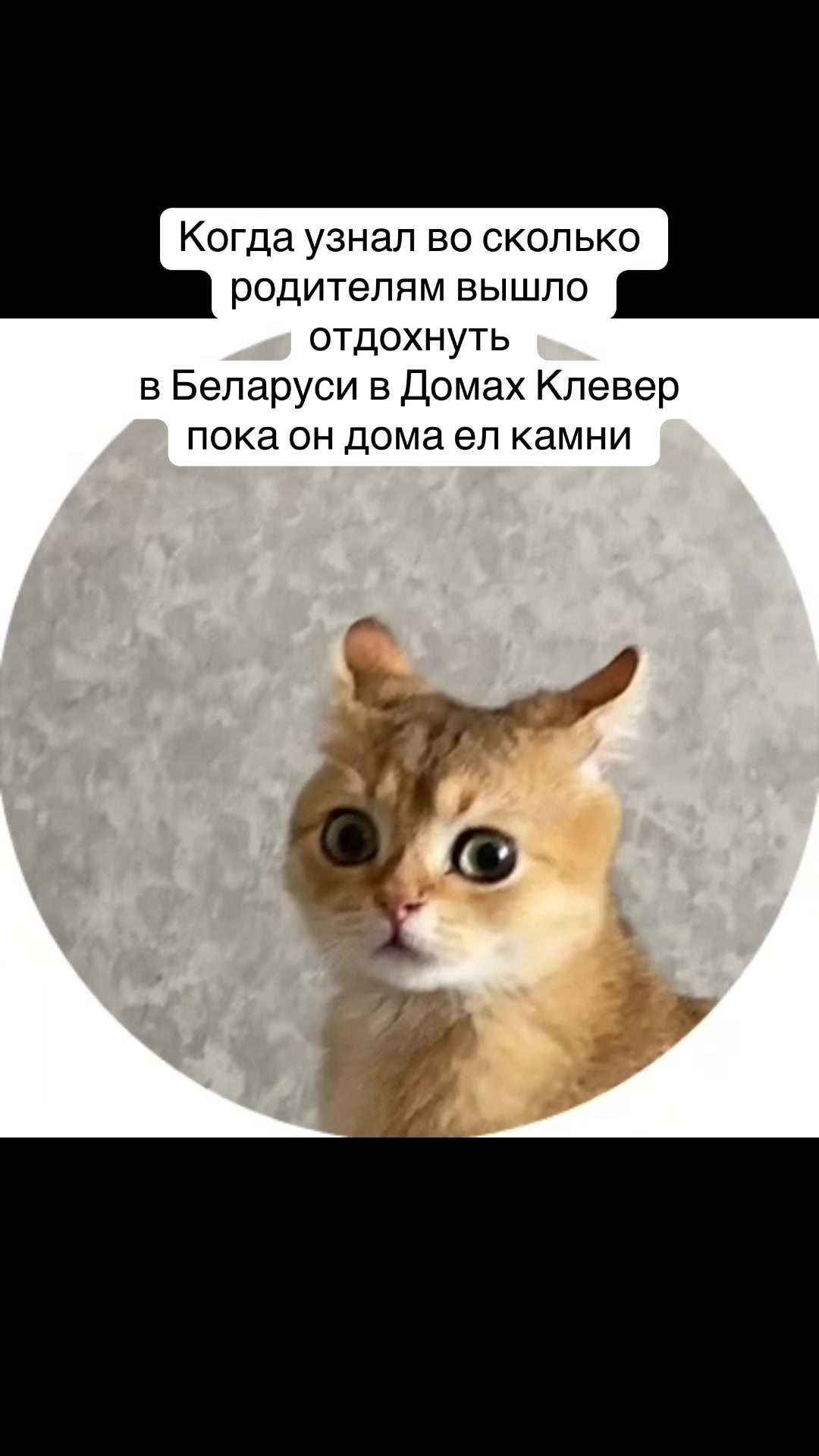 @ДОМА КЛЕВЕР. Отдых в Беларуси.