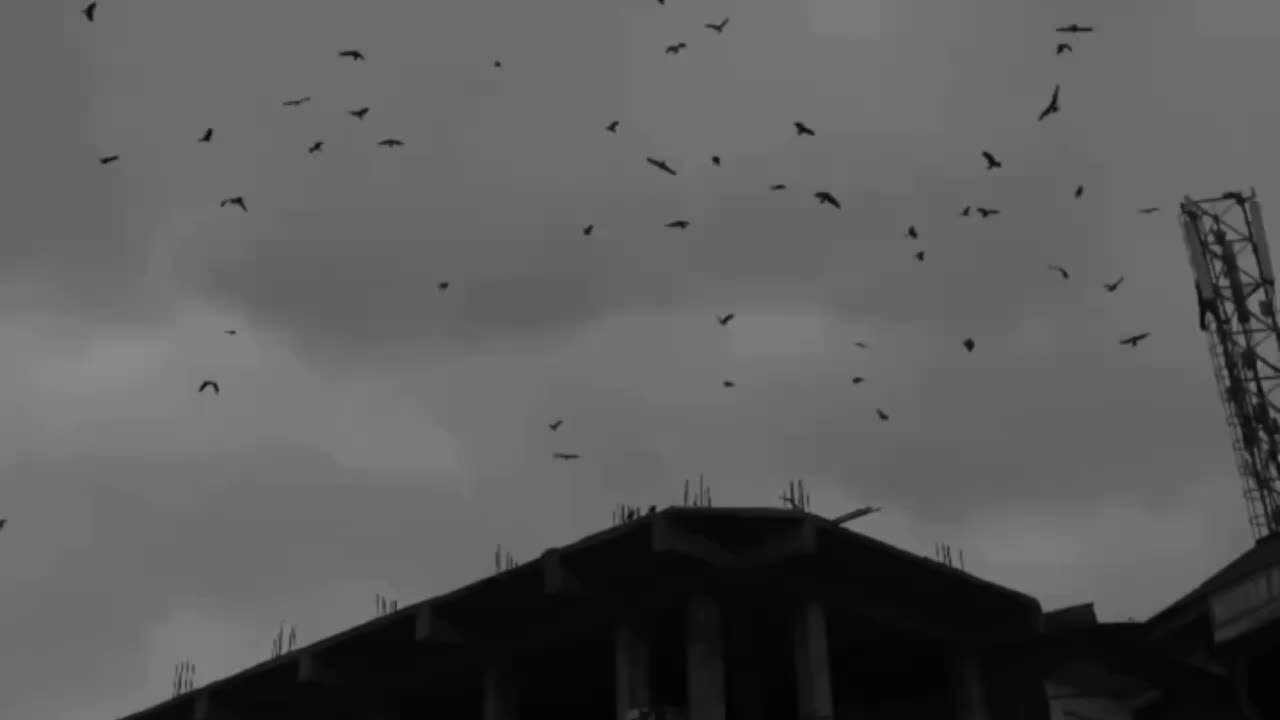 @𝙔𝙊𝙐𝙍𝙎_𝙉𝙊𝙊𝙉🌝