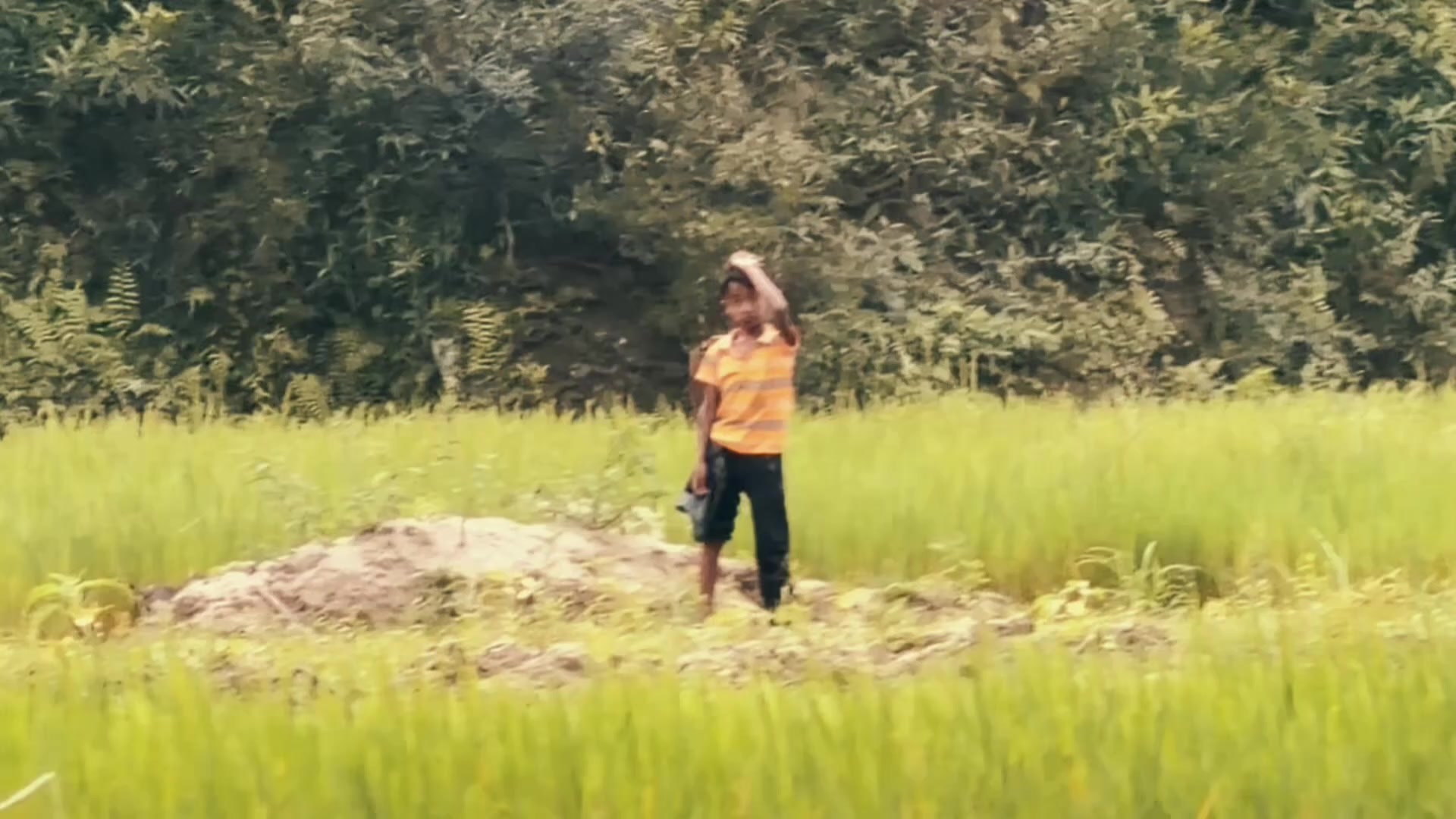 @Sabab Safwan Chowdhury
