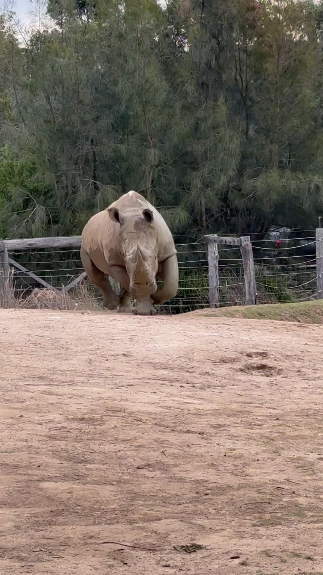 @judeszoolife