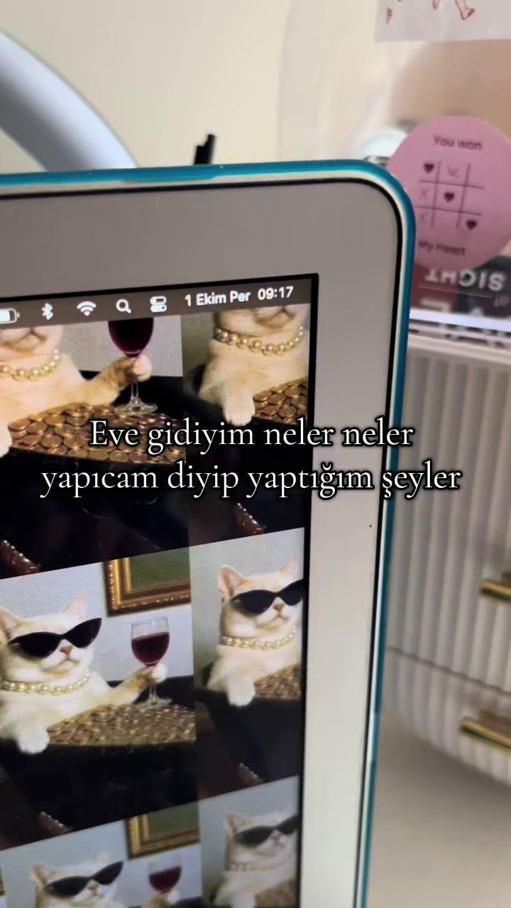 @asmreldaa