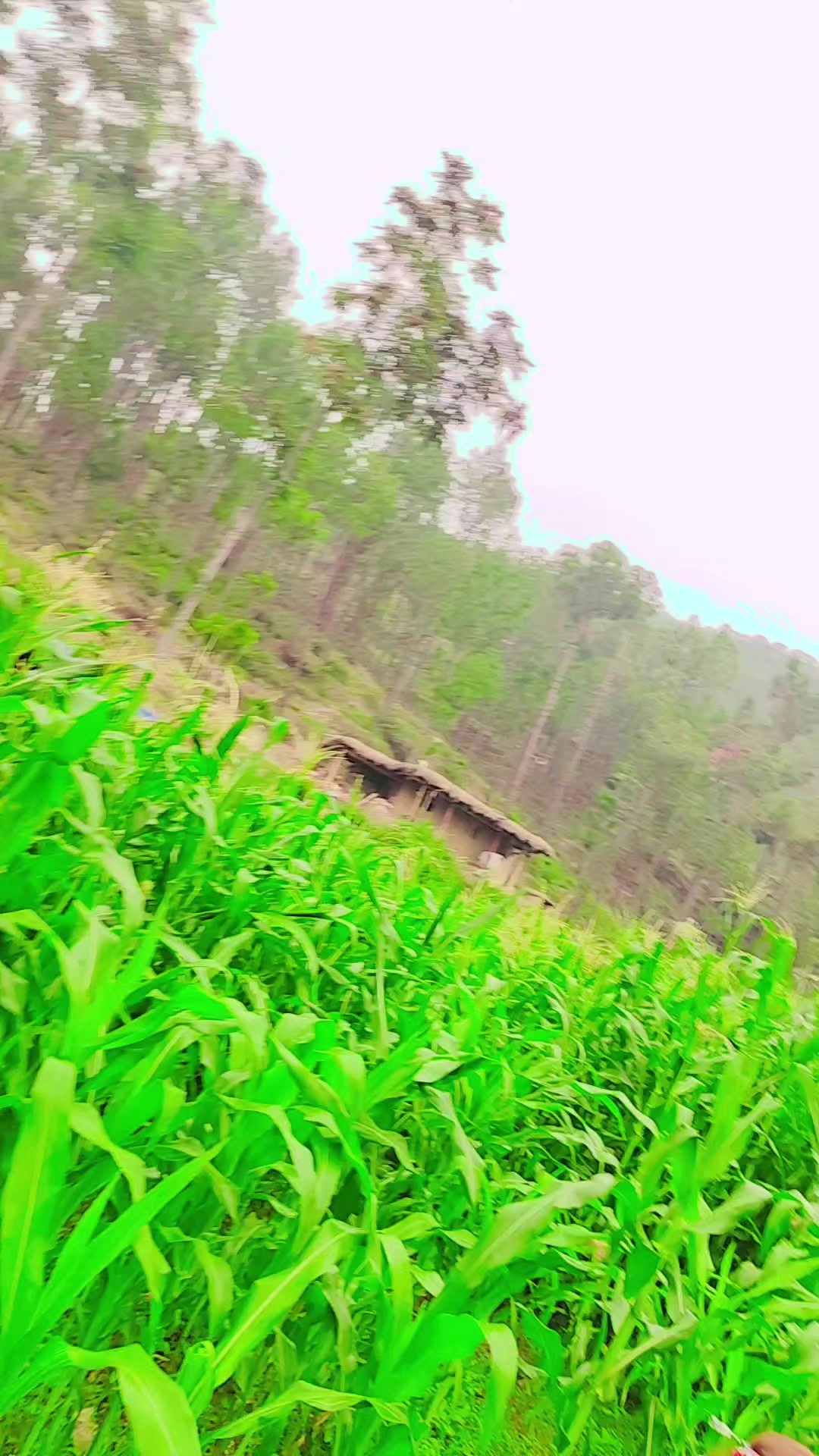 @Aftar khan