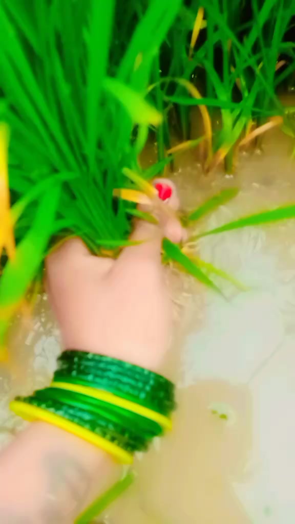 @—͞NᴀGɪɴ🌼 ᥫ᭡.