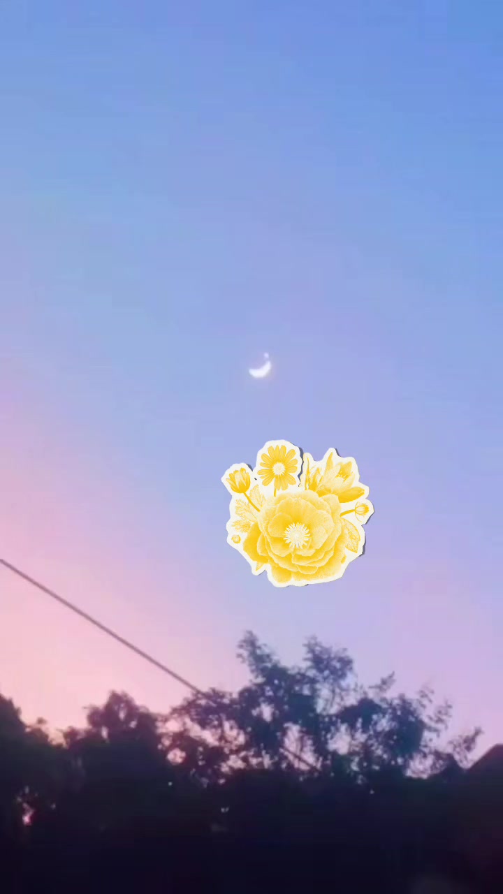 @,,,,,,🌸আদিবা ইসলাম🌸 ,,,,,