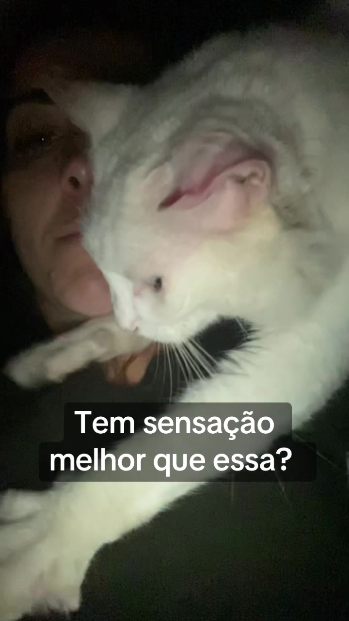 @Karoleos12gatos