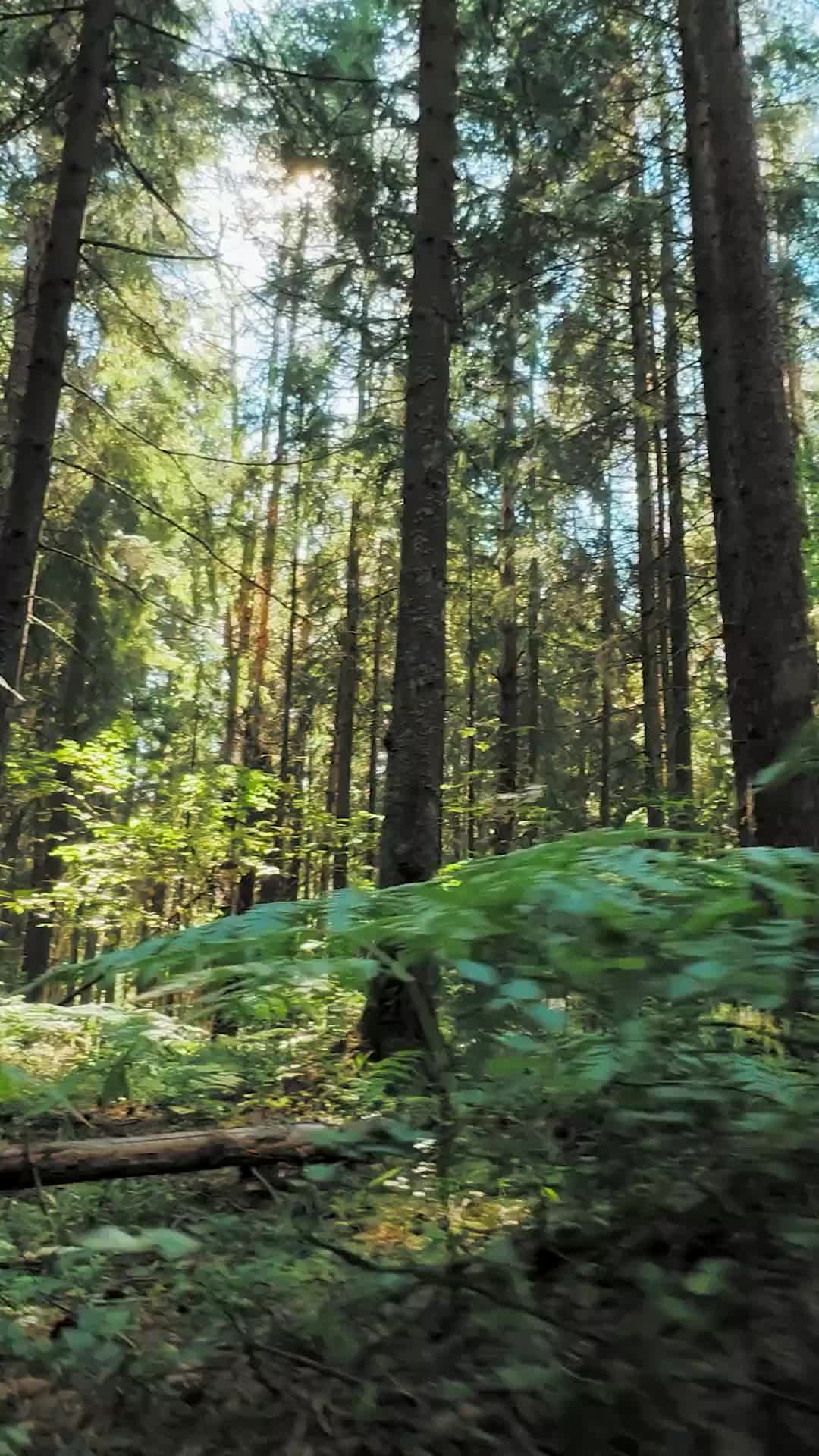 @PureToneTherapy