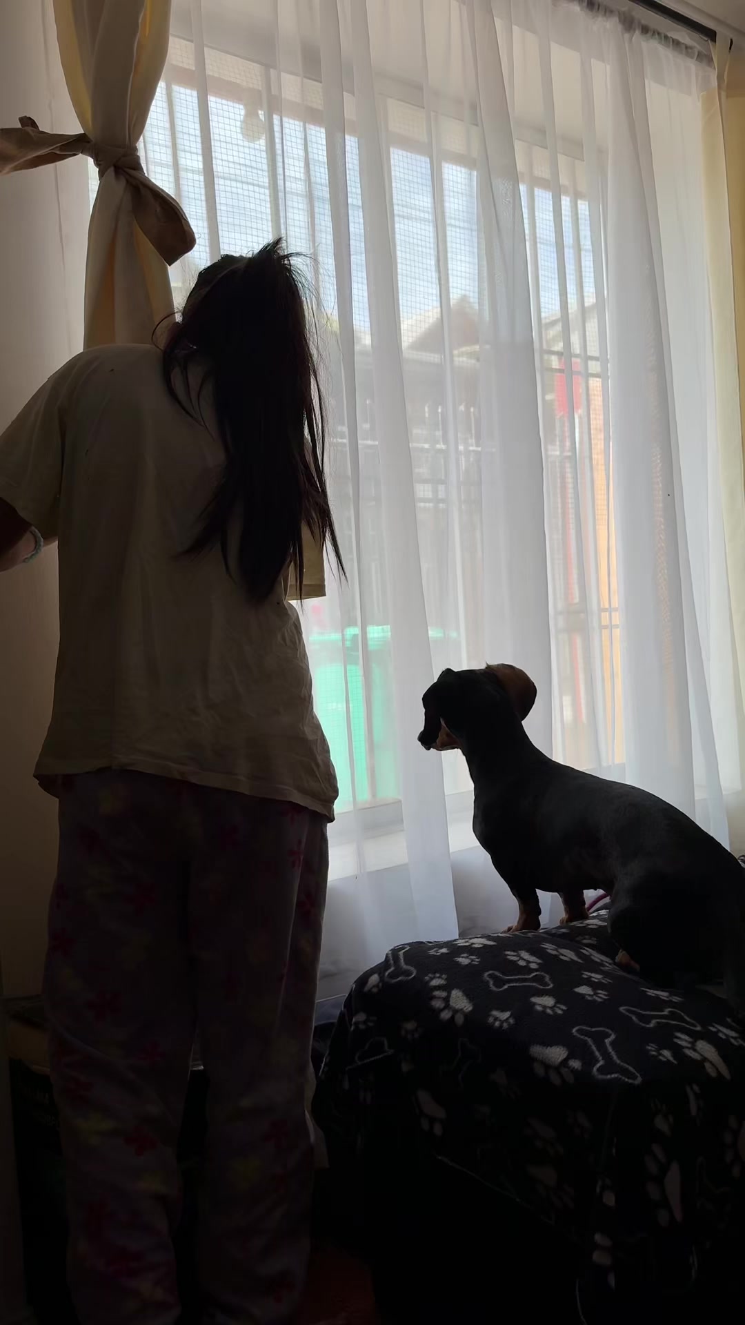 @𝑴𝒊𝒍𝒂 𝑴𝒊𝒍𝒂𝒏𝒆𝒔𝒂 🐾