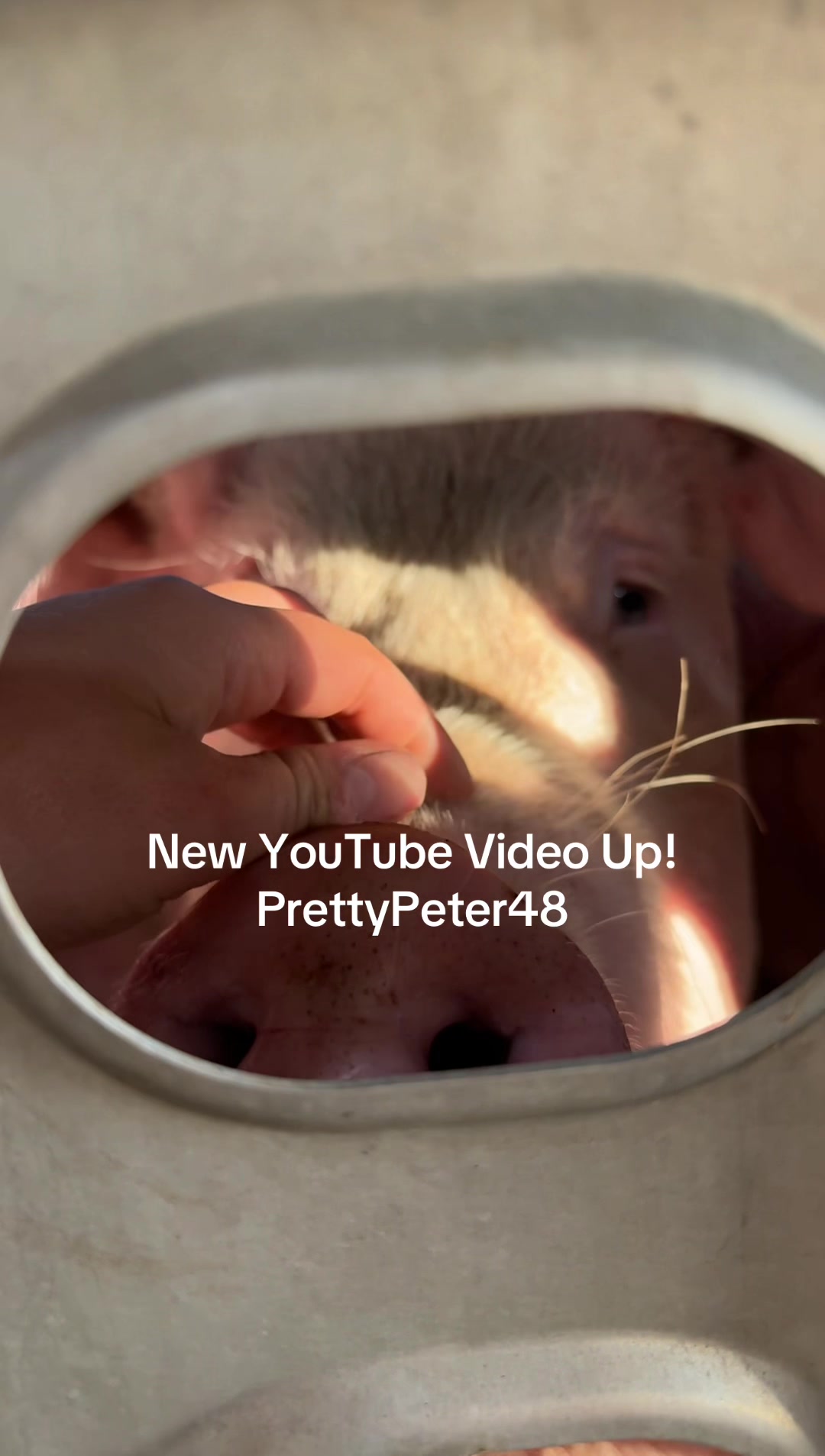 @Prettypeter48