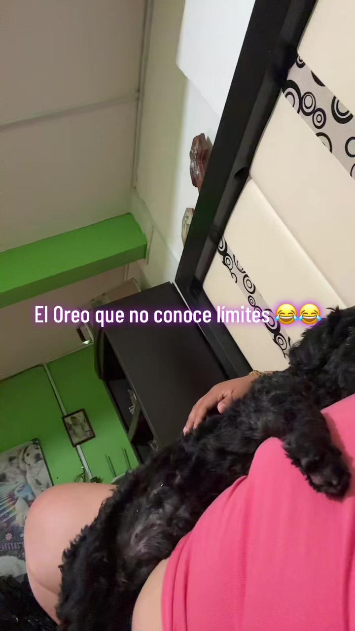 @MaricelaAvalosTovar