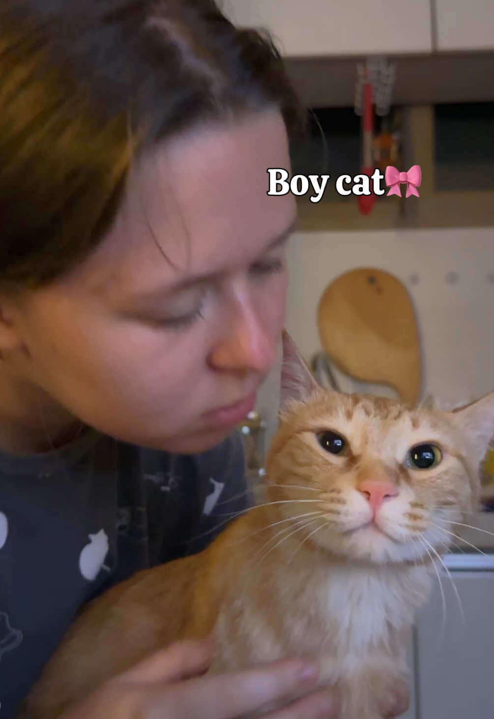 @MyStrayCheese