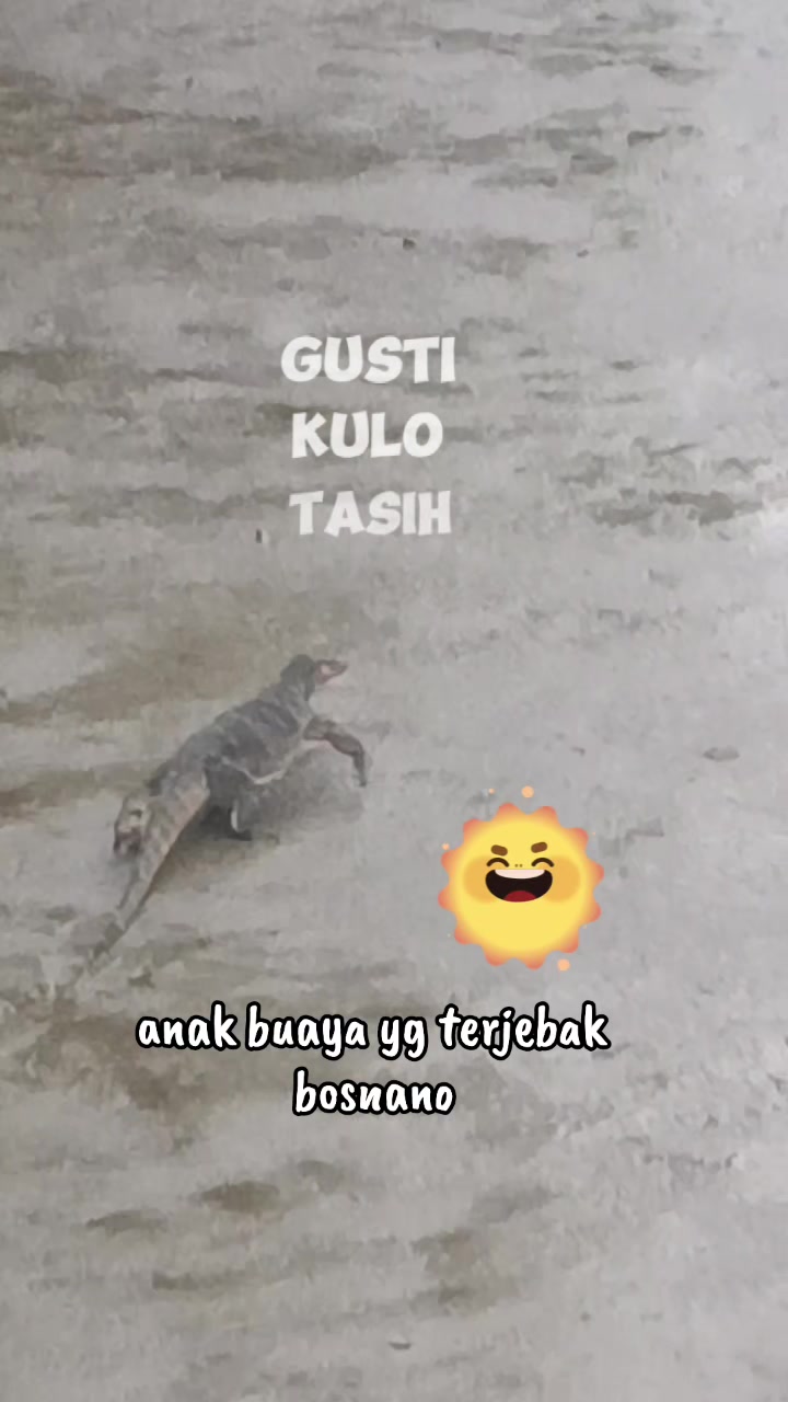 @Alay Lien