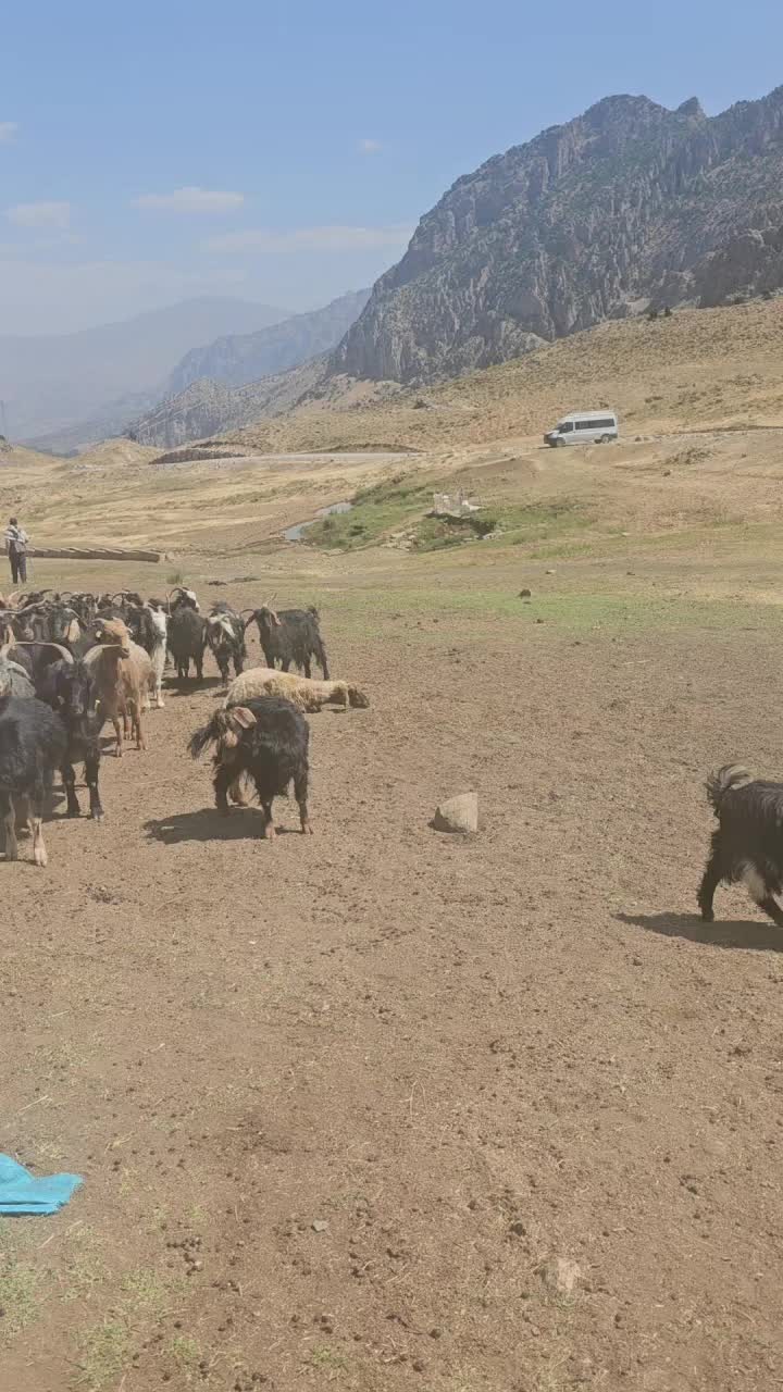 @Şahabettin