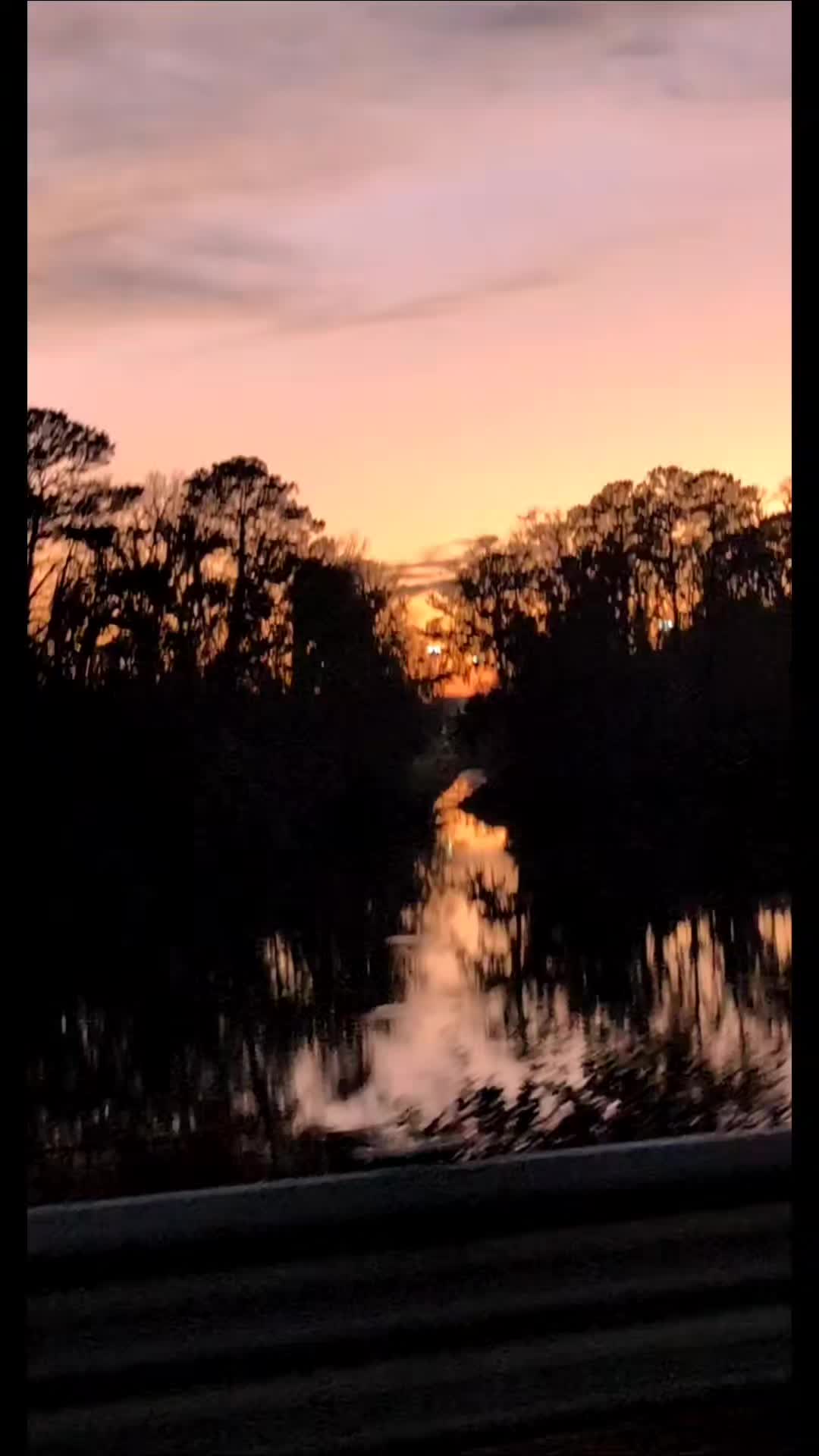 @only_savannah