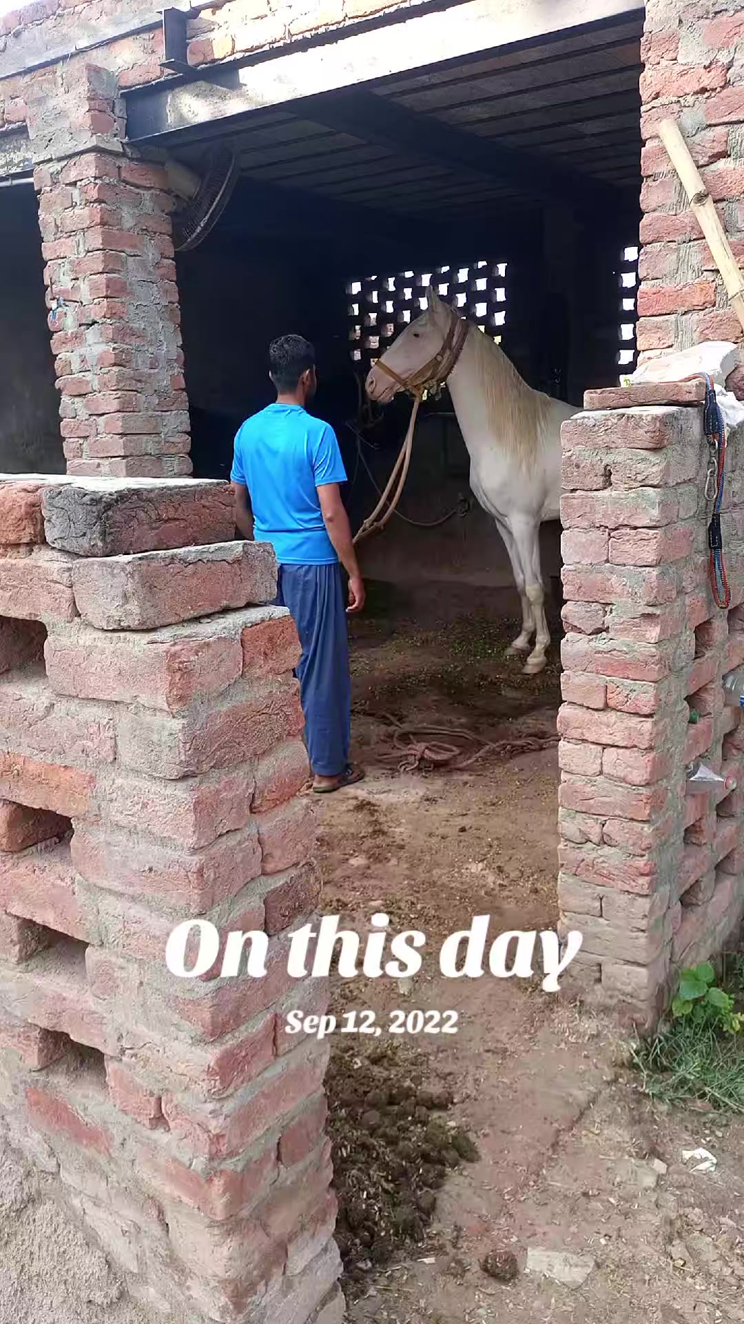 @Fahad JaTT Gangaal