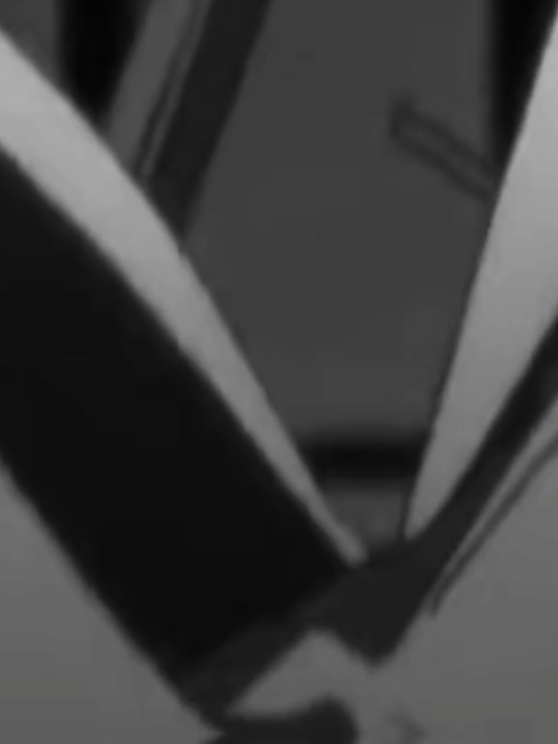 @｡&deg; ✮ ℒ𝒾𝓎𝒶𝓎