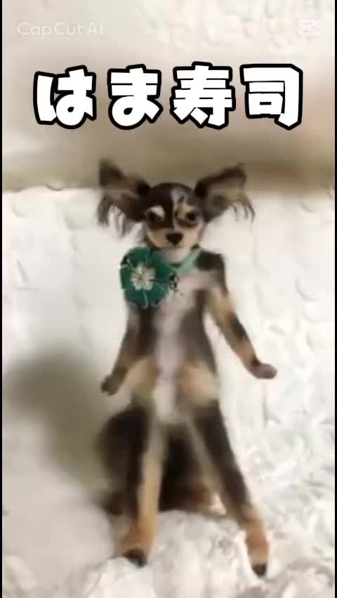 @๐๐๐๐๐๐๐๐๐๐