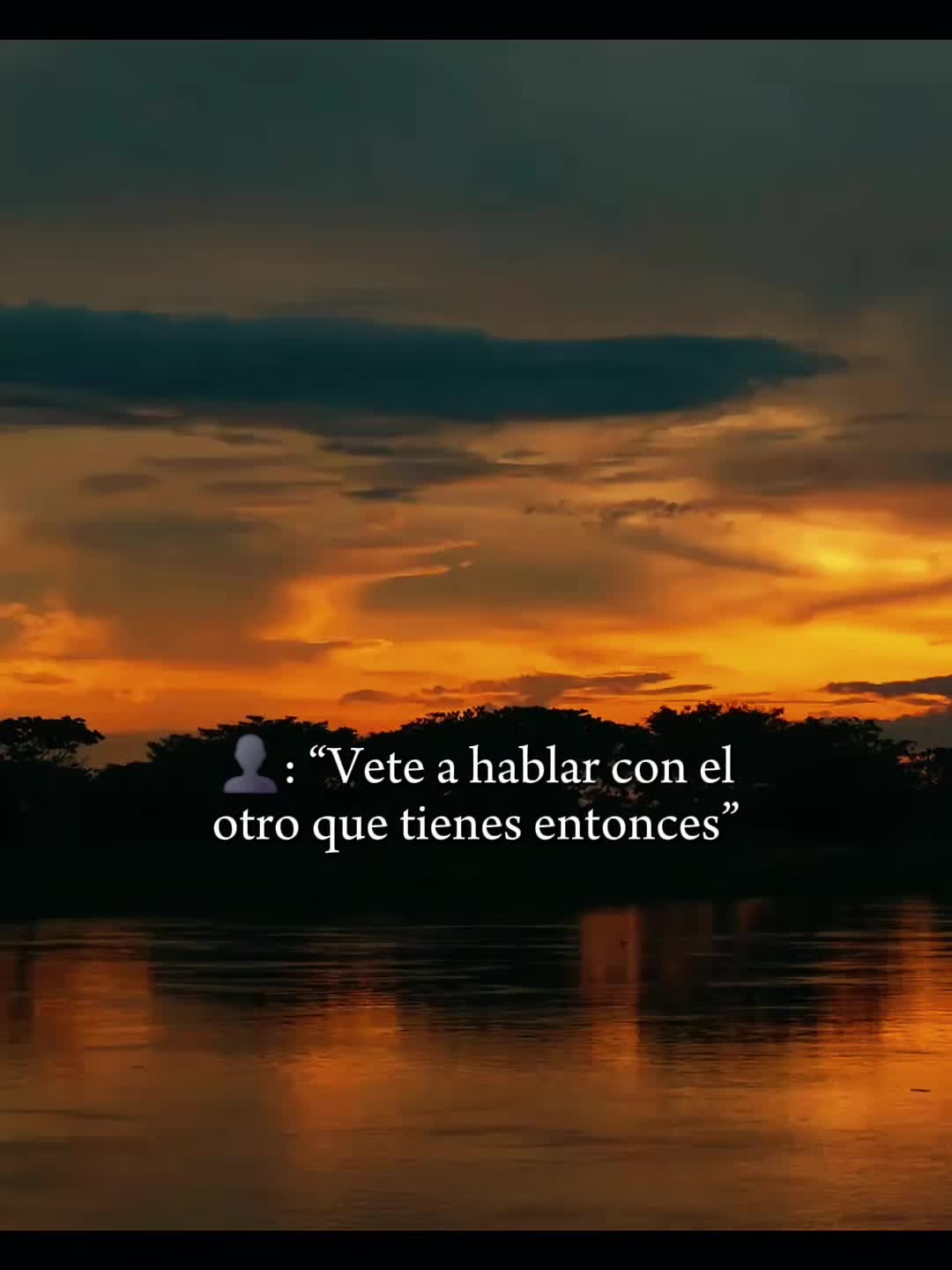 @vivi