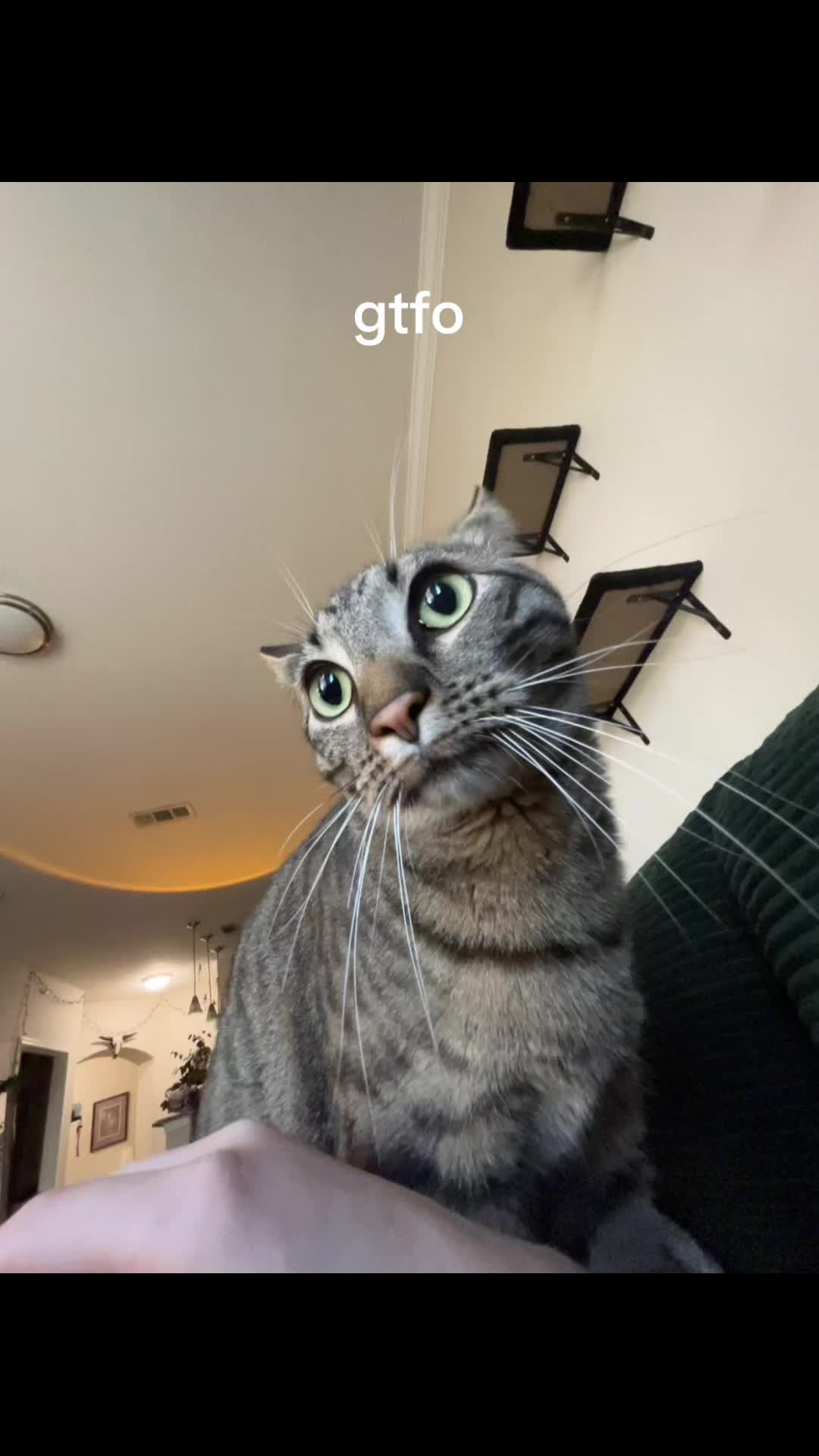 @🦦