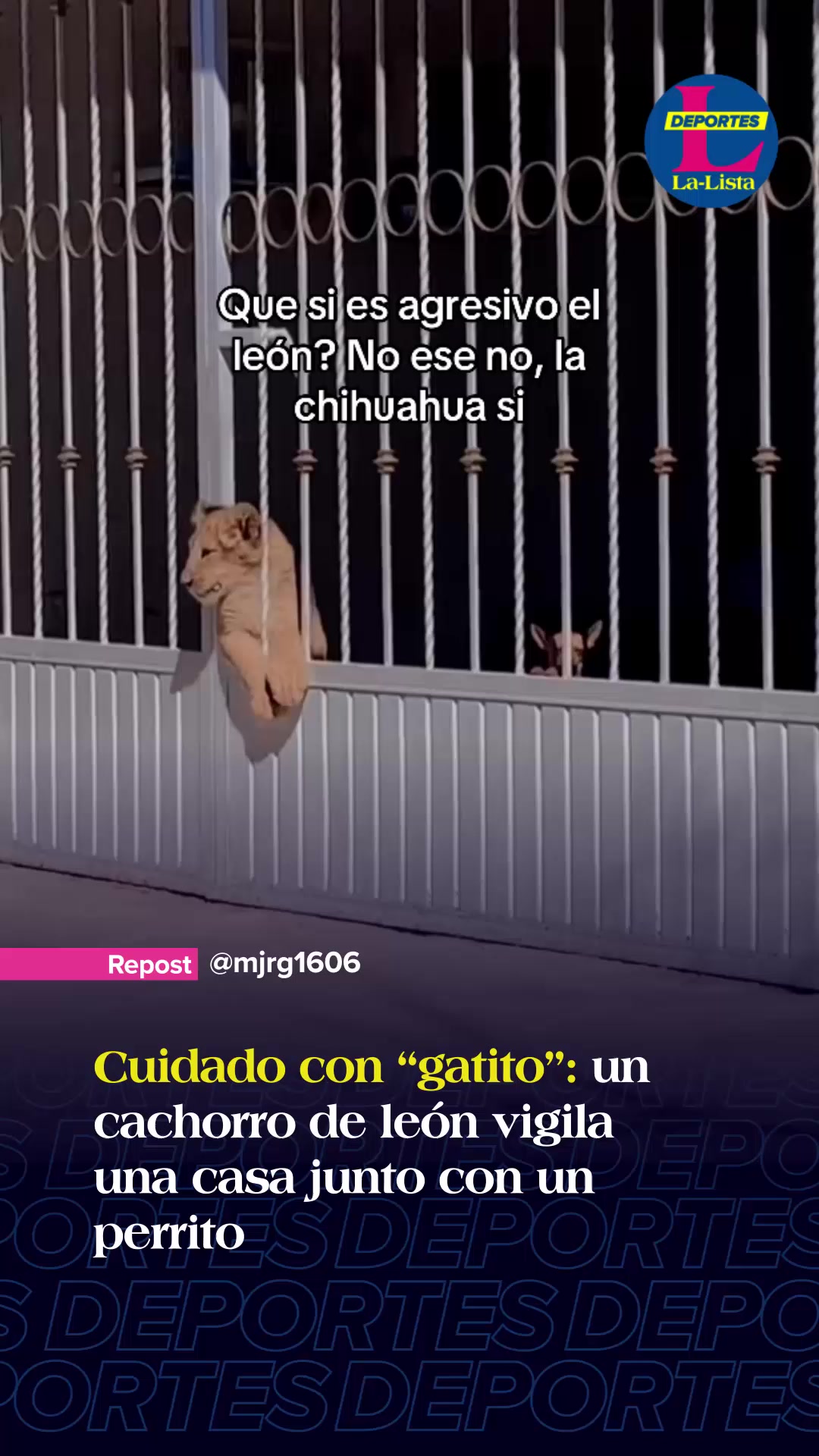 @La-Lista Deportes