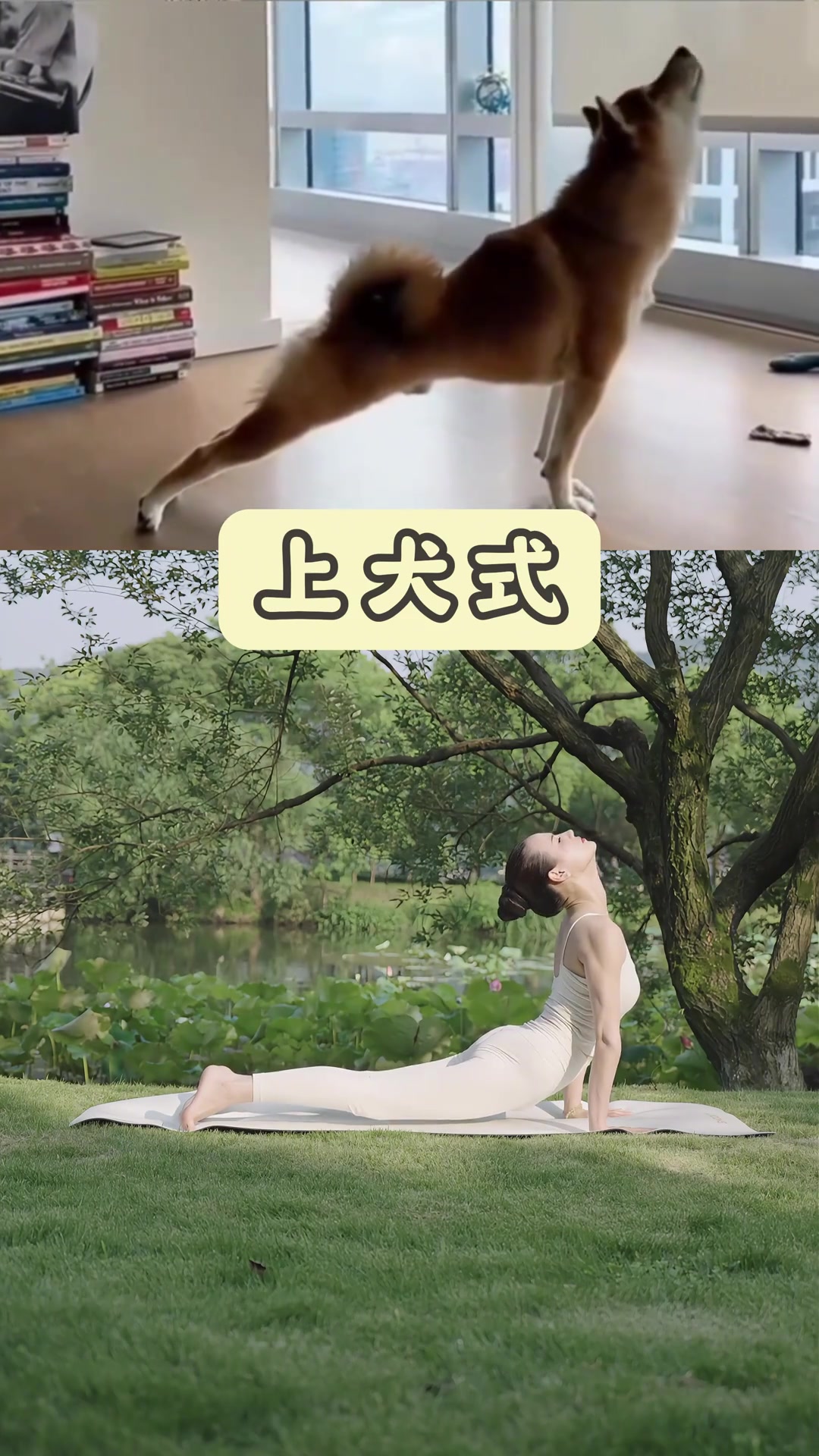 @瑜珈老師MIA